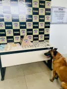 Dois irmãos presos por tráfico com crack e maconha em Francisco Dumont