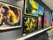 Exposição 'Uma floresta dentro da Rede Amazônica' une arte e meio ambiente