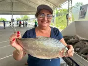 Feirão do Pescado oferece 50 toneladas de peixe em Manaus