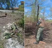 Fogo Expõe Crime Ambiental: Desmatamento e Obra Ilegal em Área de Restinga em Cabo Frio