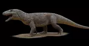 Fóssil de 240 milhões de anos revela origem dos crocodilos no RS
