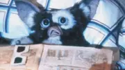 Gremlins Voltam à Tela: Novo Filme da Franquia é Confirmado Após 30 Anos!