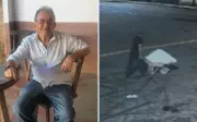 Idoso de 86 anos é assassinado e corpo transportado em carrinho de mão