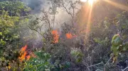 Incêndio consome 7 campos de futeiro em Presidente Olegário