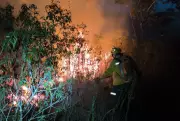 Incêndio no Pantanal: 4 dias de combate ininterrupto em Corumbá