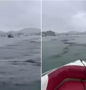 Mancha de óleo na Ilha do Japonês em Cabo Frio mobiliza equipes ambientais
