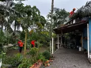 Microexplosão causa destelhamentos e ventos de 92,6 km/h em SC