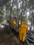 Mistério em Ilhabela: Homem é Encontrado Morto Dentro de Barco Abandonado na Praia