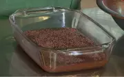 Mousse de Chocolate Perfeito: Receita Fácil, Barata e que Vai Derreter na Boca