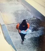 Mulher de 52 anos é presa por tentar envenenar cachorros de vizinhos em JF