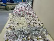 Operação policial prende suspeito de atuar como 'repositor' do tráfico em Angra dos Reis