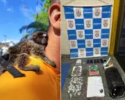 Operação prende traficante e resgata sagui em cativeiro em Cabo Frio