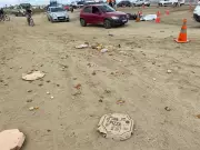 Pai e filho morrem em acidente na BR-104 horas antes do casamento