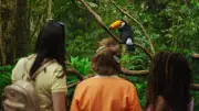 Parque das Aves: renove 2025 em Foz do Iguaçu com 1.400 animais