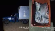 Polícia apreende 1 tonelada de pescado irregular no Piauí