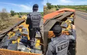 Polícia apreende 60 tijolos de maconha em carga de soja na SP-270
