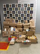 Policia desmonta esquema milionário de peças automotivas falsas em Campinas | G1