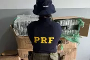 PRF apreende 332 kg de cocaína em caminhonete da Energisa em MS