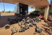 PRF apreende 49 peças de carros roubados em caminhão na BR-163