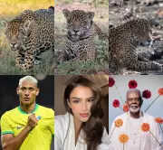 Rafa Kalimann adota onça-pintada após onçafari no Pantanal de MS