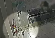 Rato é flagrado em porta da FUSAM durante greve em Caçapava; vídeo viraliza