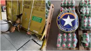 Receita Federal apreende cocaína em garrafas de refrigerante no Porto de Navegantes