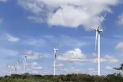 Rio Grande do Norte Recebe R$ 1,3 Bilhão em Investimentos para Fortalecer Transmissão de Energia