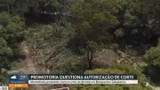 Árvores derrubadas na Lapa, SP, geram protesto acalorado e intervenção da Guarda Civil