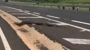Sucuri de 5 metros invade rodovia no interior de SP; veja o resgate
