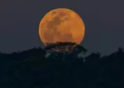 Superlua de Setembro: Não Perca o Esplendor da Última Lua Cheia do Inverno!