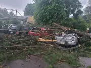 Tempestade em Curitiba derruba árvores sobre carros e causa estragos