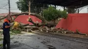 Temporal com ventos de 100 km/h causa destruição em Araraquara e abre cratera em São Carlos