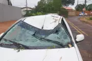 Temporal em Campo Grande: Motorista de App Fica Ferido Após Árvore Esmagar Carro Durante Tempestade