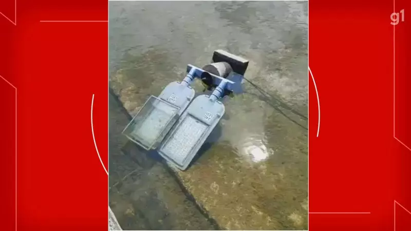 Catedral de Brasília é vandalizada: 16 luminárias arrancadas e cabos destruídos