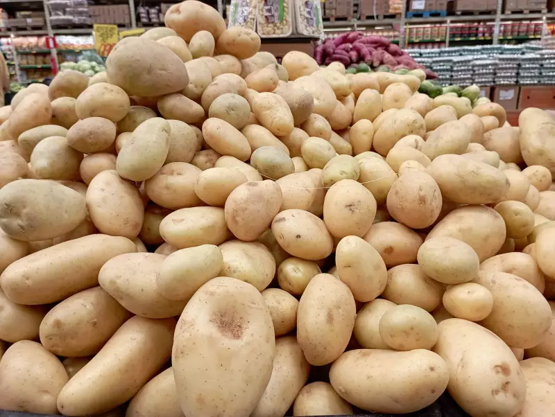 Cesta básica no Vale do Paraíba tem estabilidade em novembro de 2025