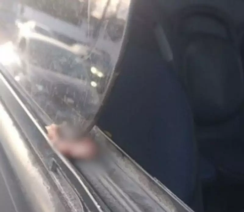 Dedo humano é encontrado preso em janela de ônibus em Olinda