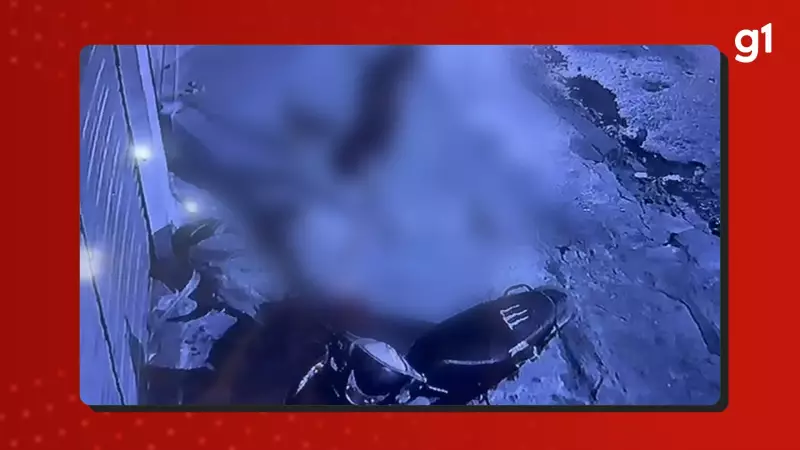 Homem preso após estrangular e arremessar cachorro em rua de Borba, AM