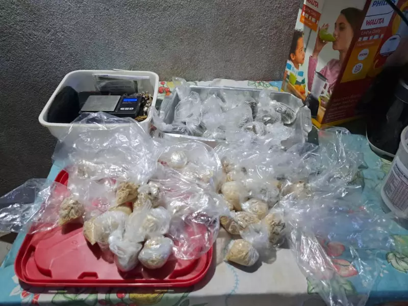 Operação Festas Seguras apreende 1 kg de drogas e desarticula ponto de tráfico em Monte Alegre-PA