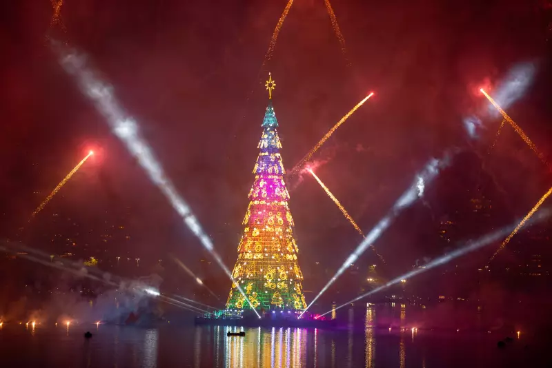 Árvore da Lagoa reacende tradição natalina no Rio após 5 anos com 60 metros de altura