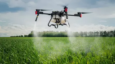 2025: O ano em que a ciência superou desafios globais com inovações