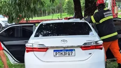 Acidente na BR-010 mata passageiro após carro bater em árvore no MA