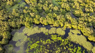 Bactérias carnívoras se espalham com aquecimento global e casos aumentam