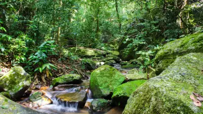 Brasil em 2025: Fim da transmissão vertical do HIV e queda da pobreza