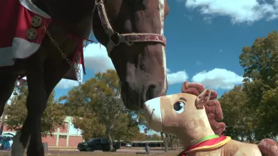 Brinquedos do Cavalo Caramelo já arrecadam R$ 600 mil para escolas no RS