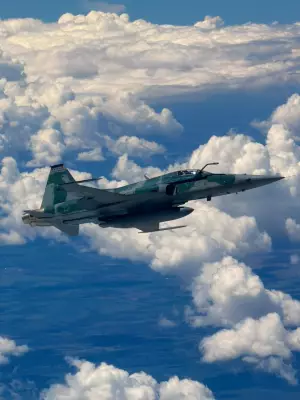 Caça F5 da FAB intercepta avião particular em voo de SP para Goiás