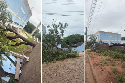 Chuvas no Oeste Paulista: 3 cidades em emergência, escolas danificadas e famílias desalojadas