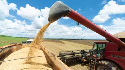 CNA prevê 2026 desafiador para agronegócio com possível aumento de impostos