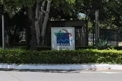 Ibama não é o problema, mas sintoma da falta de planejamento do Estado, afirma procurador