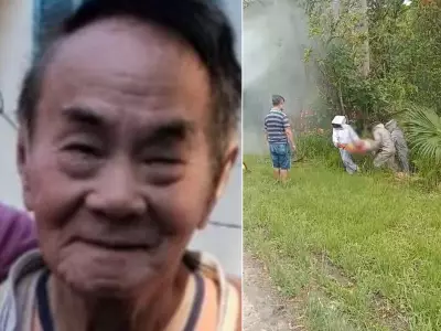 Idoso de 88 anos morre após ataque de enxame de abelhas em Registro, SP