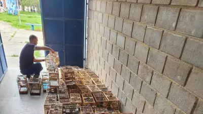 Inema e PM resgatam 106 aves silvestres em evento ilegal de canto na Bahia